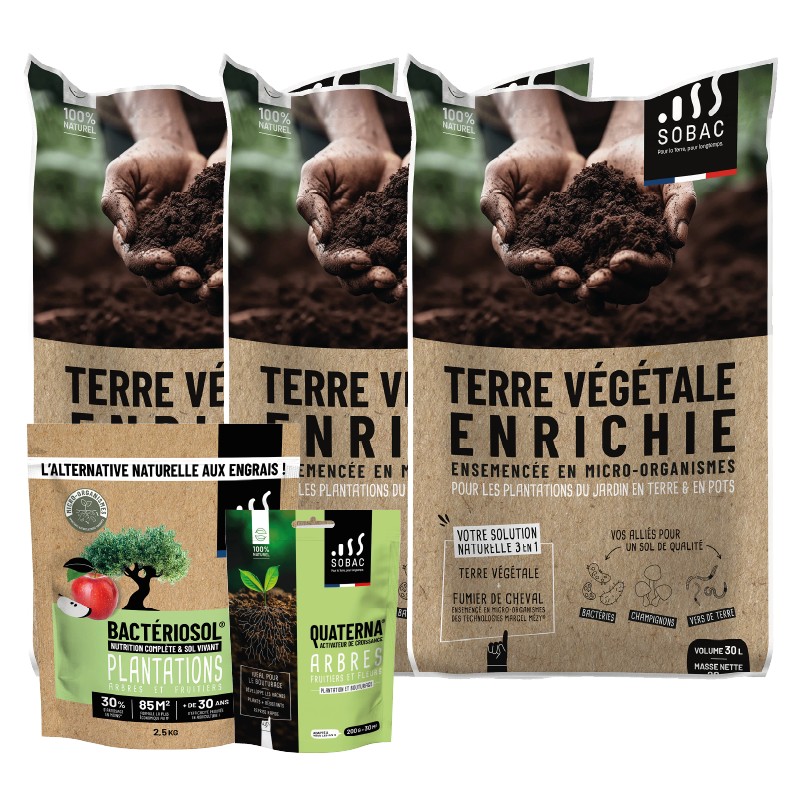 Pack Verger Gourmand SOBAC : planter vos arbres fruitiers