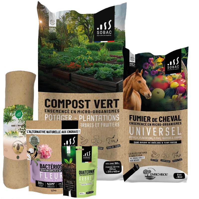 Pack Bulbes SOBAC : préparez le sol pour vos floraisons