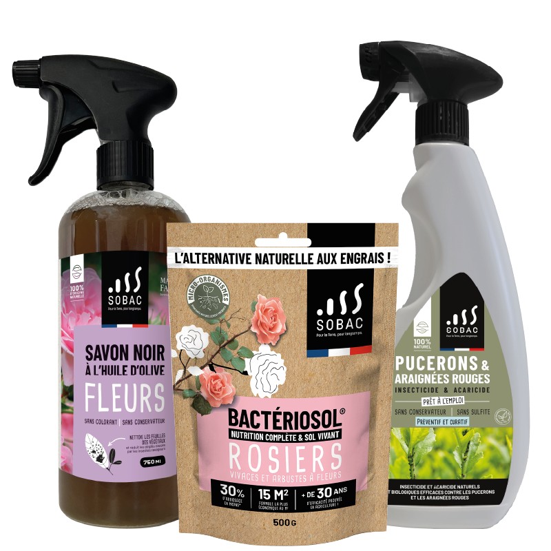 Pack Anti-Pucerons Naturel – Savon Noir, Purin & Bactériosol pour Rosiers et Jardin