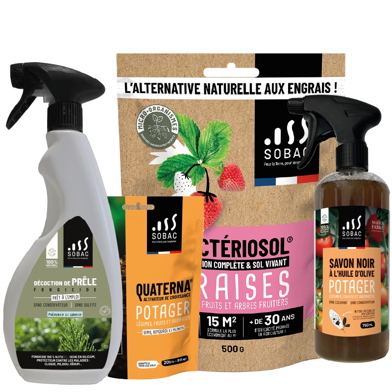 Pack fraisiers printemps – Nutrition, protection et récoltes abondantes