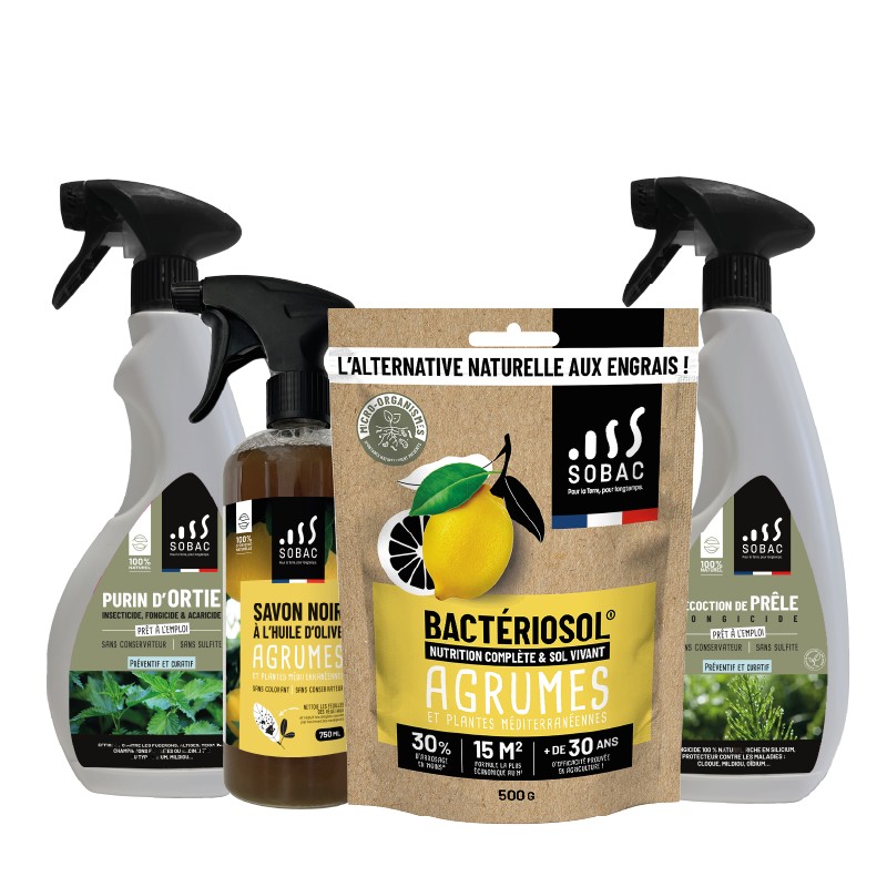 Pack entretien citronniers et agrumes – Nutrition et protection naturelle