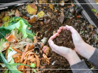 Booster son compost avec un activateur naturel : les clés d’un compost de qualit