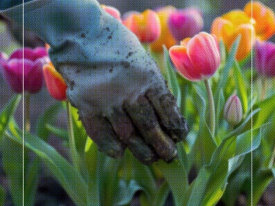 Comment préparer et protéger vos plantes pour l’hiver