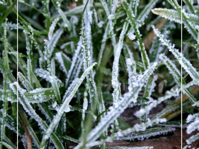 Que faire au jardin en avril 2026 ?​