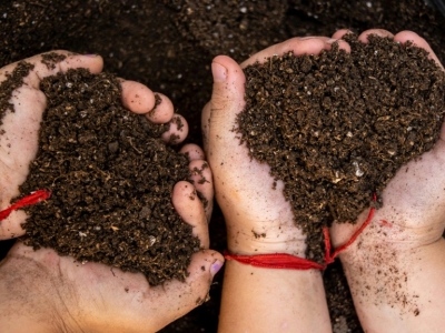 Que faire au jardin en mai 2026 ?