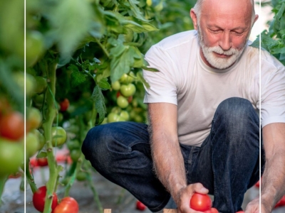 Que faire au jardin en juin ?