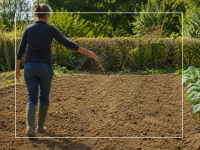 Que faire au jardin en septembre ?