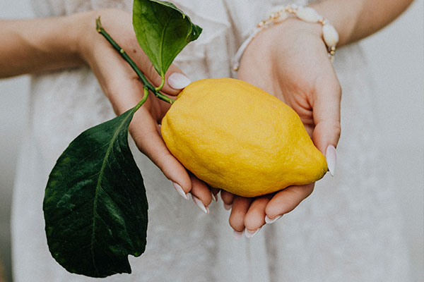 Culture du citron - Cultiver un citronnier en pot - Taille et Maladies