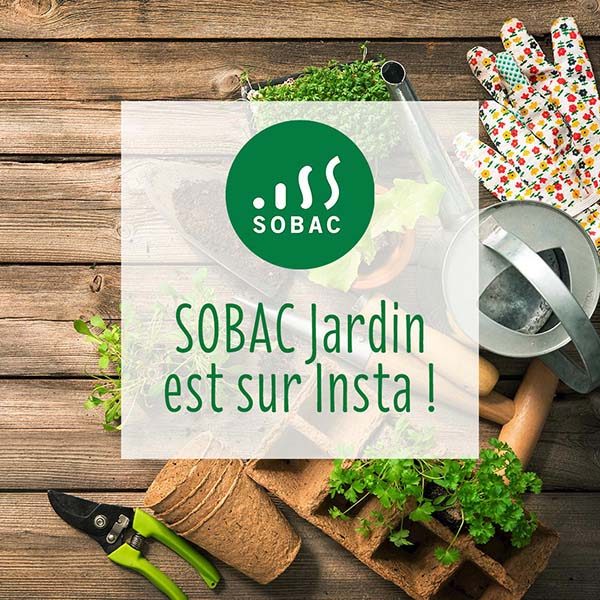 instagram-sobac-jardin