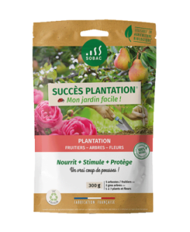 succes-plantation